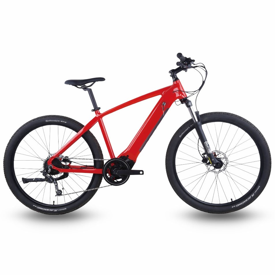 EC-05 Off Road Electric Bike