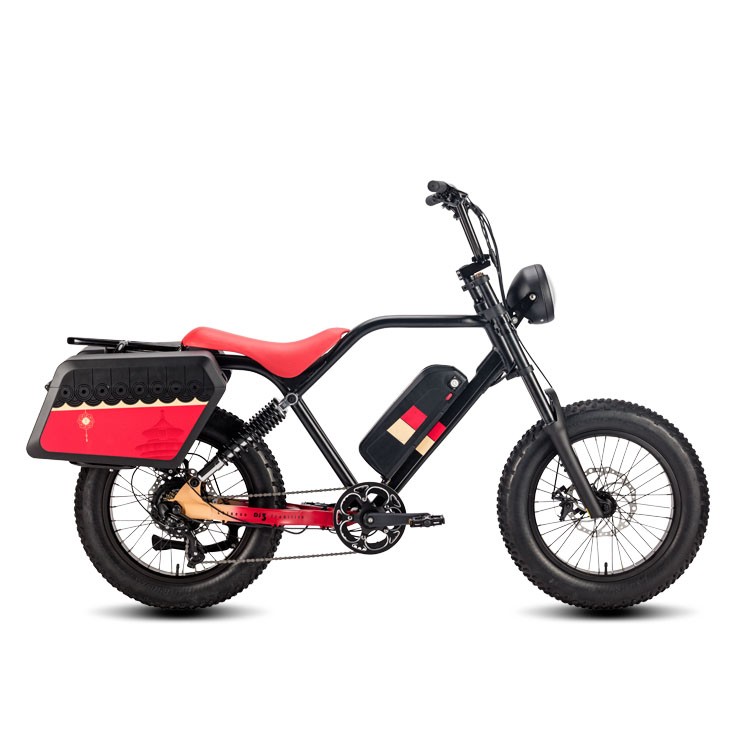 EC-10 Electric Motorized Bicycle