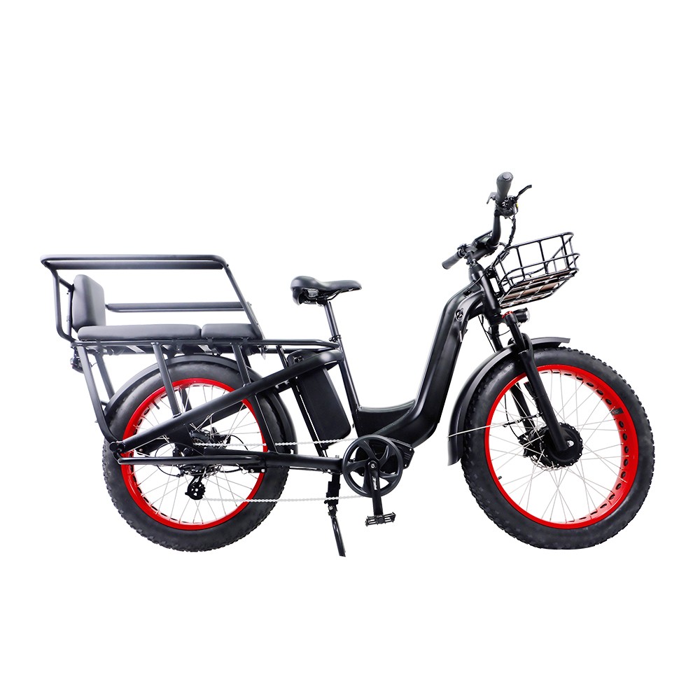 ELEKTRISCHES FAHRRAD ER61