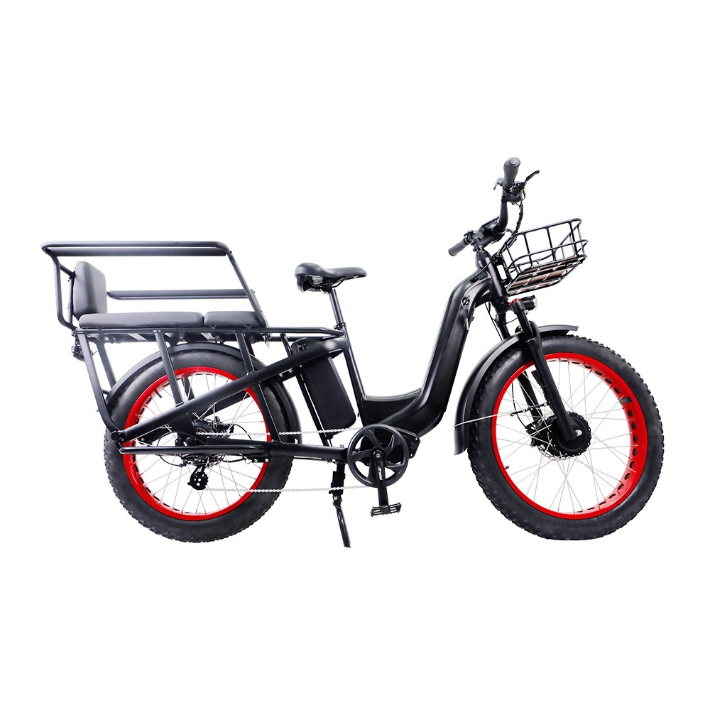 ELEKTRISCHES FAHRRAD ER61