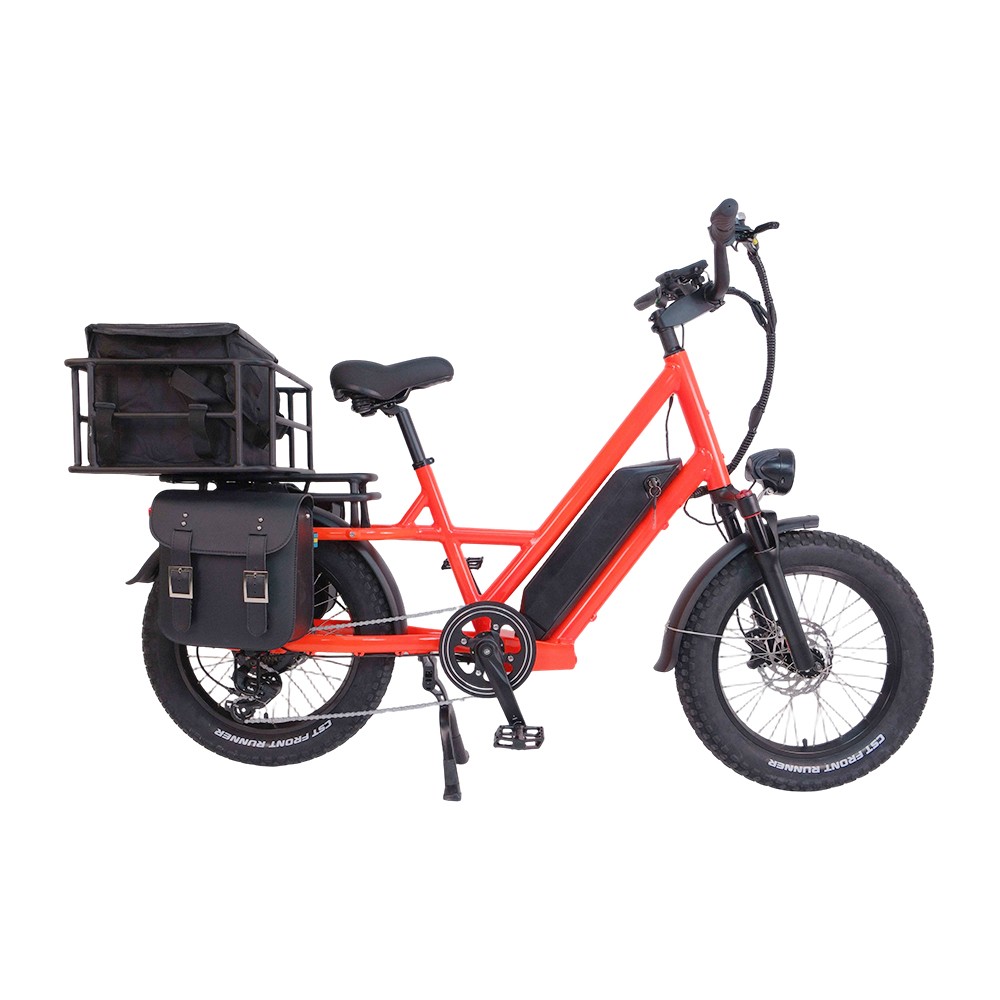 48V500W IOT POWERED DELIVERY E-BIKE RE01