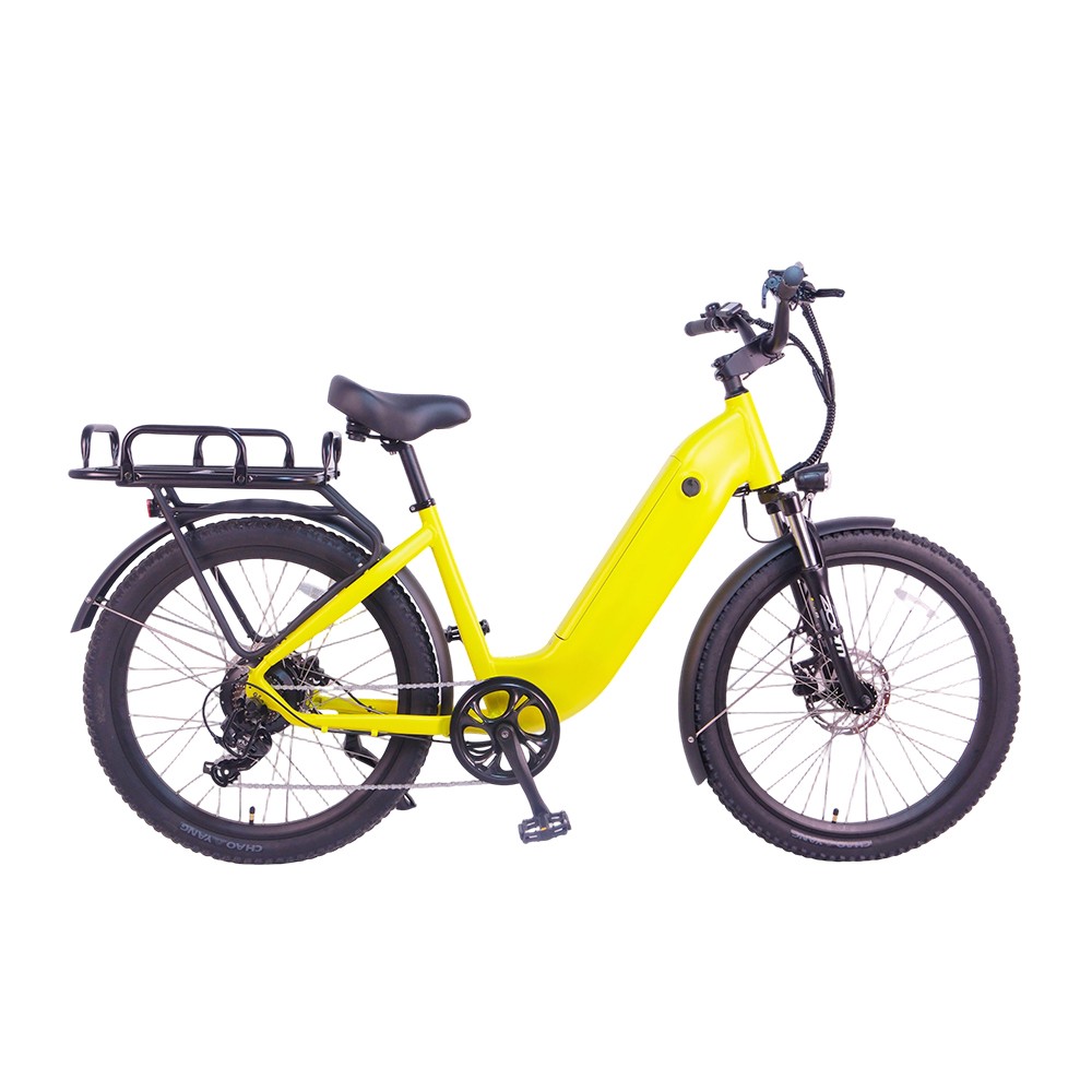 IOT POWERED LONG RANGE DELIVERY E-BIKE RE02