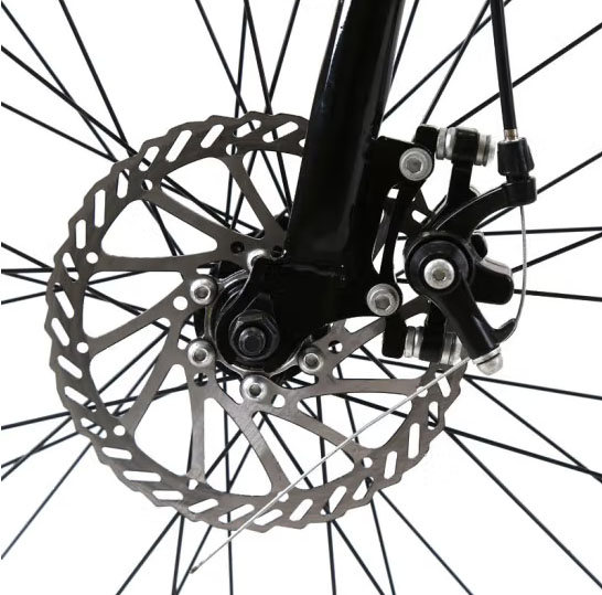 RadRover Electric Fat Bike Version 5key feature 1
