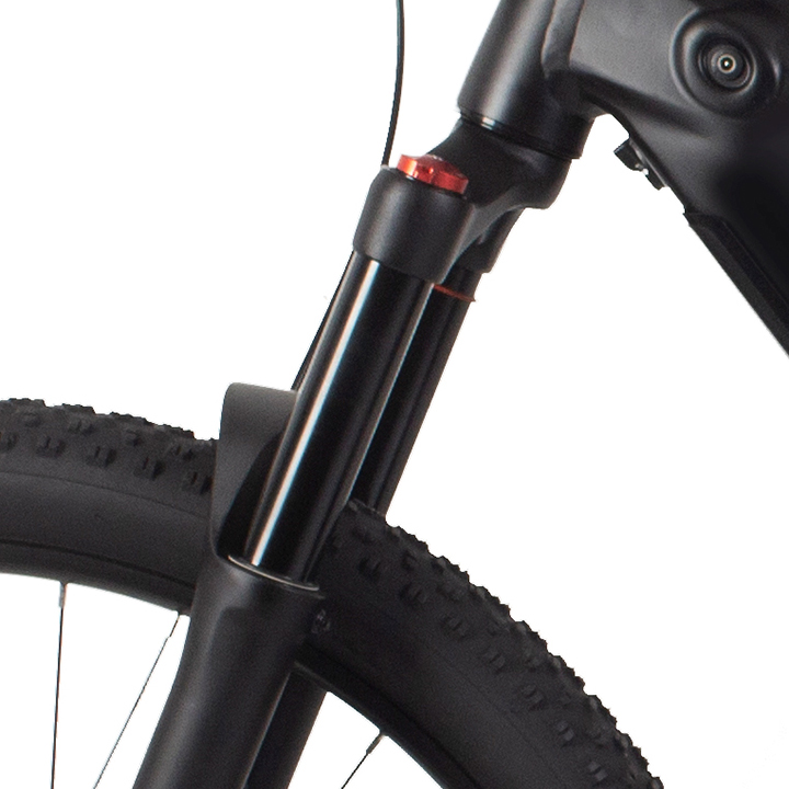 RadRover Electric Fat Bike Version 5key feature 2