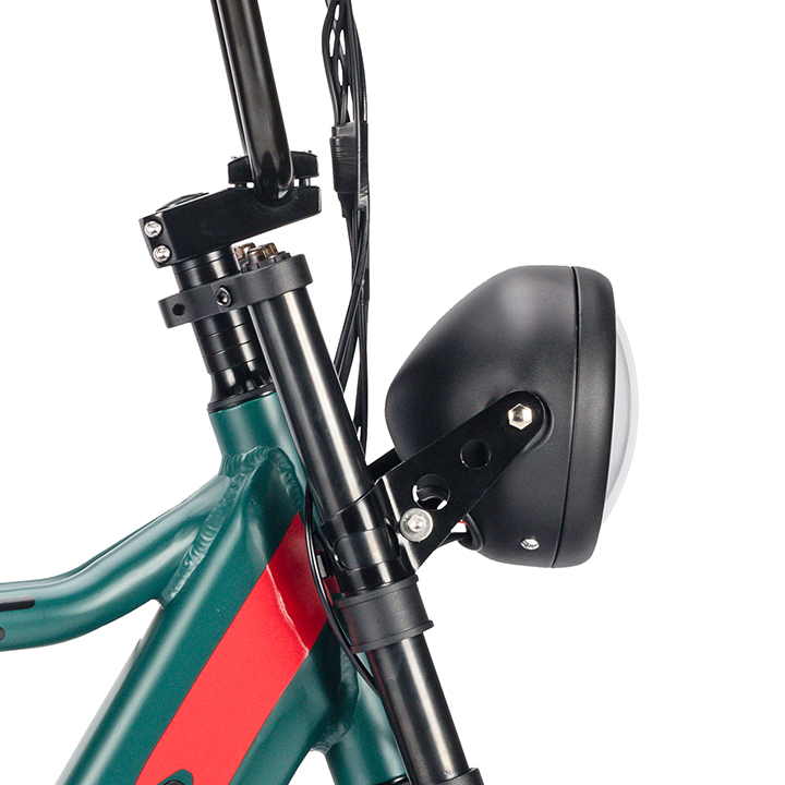 RadRover Electric Fat Bike Version 5key feature 1